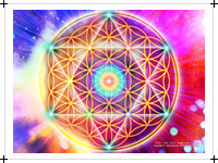 フラワー・オブ・ライフ(flower of life)の壁紙